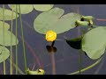 Luras-Lake-Liqenet-e
