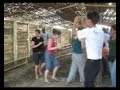 programa de acción social