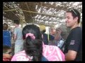 programa de acción social