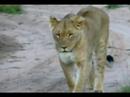 Viagem a �frica do Sul