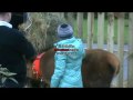 Christmas At The Kinsealy Pet Store.mp4