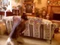 Gao Liquiding