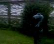 tir au gomme cogne flashball
