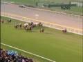 2008 アルゼンチン共和国杯 COPA REPUBLICA ARGENTINA