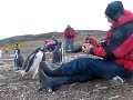 Playing with Penguins!