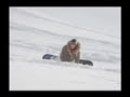 snowboard-dvd-basic.html