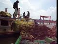 Pedagang Daun Nipah