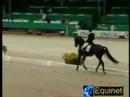 Dressage-J de Vroe & Paganini CDI Rotterdam 07 GP