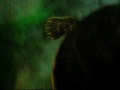 Dentro del acuario de mis tortugas 2