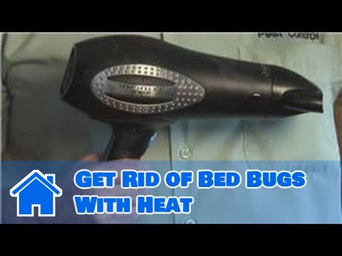 how to get rid and prevent bed bugs