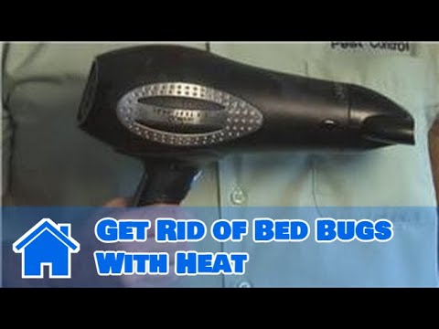 how to get rid and prevent bed bugs