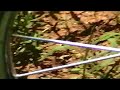 The Black Widow Spider vs. The Bald (Black) Faced Hornet PROFANITY