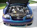 600rwhp Whipple Cobra - 13psi vs. 19psi 600rwhp Whipple Cobra - 13psi vs. 19psi