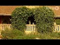 Susan Sanders: Central Texas Gardener Susan Sanders: Central Texas Gardener
