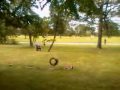 Burr Oak crime scene (7/12/09)