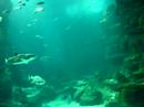 Mare Nostrum 3 Mare Nostrum 3