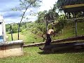cicero 141.avi