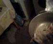 clip video 100% b�ret basque Le poulet basquaise - Coco rapido