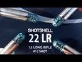 .22 LR CCI Shotshell - YouTube