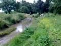 greenlane splash 2