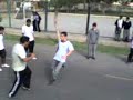 Alfaro Vs. MilushicH