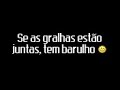 As Gralhas