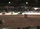 Arabian English Pleasure Junior Horse Championship