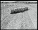 Hay Bale Moving Scene