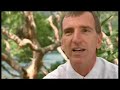 wingsuit-flying-report.html