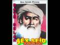 4 -§ÊX SEÎD BAVÊ SELAH لاو ولا تو   شيخ سعيد ابو صلاح