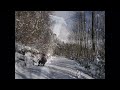 Die 4 Jahreszeiten: Der Winter