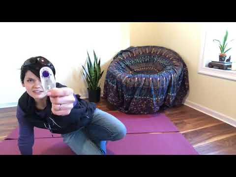 video-linktoworks-A service dog puppy's 1st ever training session