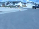 Funy accidents 3 speeds