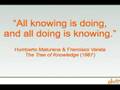 videos de The Inconvenience of Truth (Part Two)