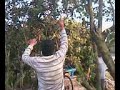 VIDEO0013