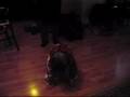 Trying to Get Sarah Joy to Walk.wmv