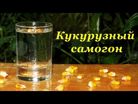 Самогон на кукурузе в домашних условиях