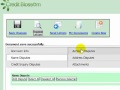Free Credit Repair Software at CreditBlossom.com