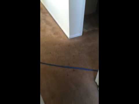 Columbus Ga Carpet Cleaning Cleaners In 31908 Carpet Cleaning By Enviro Tec Services And Upholstery Cleaners Hinesville