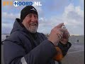 GRONINGEN - De noordwesterstorm van donderdagnacht en vrijdagochtend heeft voor weinig problemen gezorgd in het Noorden. De dijkbewaking werd in de loop van de middag opgeheven. Ook de coupures bij Delfzijl zijn weer open.Bij Delfzijl kwam het water tot 4.21 boven NAP. In de haven van Lauwersoog bleef het waterpeil net onder de 4 meter. Gevolg was wel dat het water ook aan de kant van de visafslag over de kades sloeg. Ook bij restaurant het Pierenend in Lauwersoog sloeg het water flink over de dijk. In november 2006 kreeg het Pierenend bij een noordwesterstorm de volle laag. Het water steeg toen tot bijna 5 meter boven NAP. Het hele interieur van het restaurant ging verloren. Het restaurant was ditmaal op alles voorbereid. De zaak was goed beveiligd met zandzakken. De schade valt daarom mee. De eigenaar denkt dat hij het hele weekend gesloten blijft. Bij de buren stond het water tot een halve meter hoog in de winkel van CIV Lauwersoog. De zaak zal zaterdag alweer open kunnen. Ook enkele andere zaken in Lauwersoog en Delfzijl kwam het water binnen. Op Schiermonnikoog werd door de storm veel duin weggeslagen en de veerdam en het jachthavengebouw raakten door het water onbereikbaar. De veerboten voeren tijdelijk op een aangepast dienstrooster.
