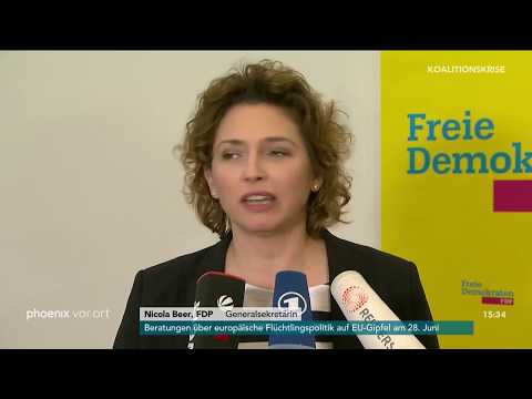 Statements von FDP, Grnen und Linken um Streit in de ...