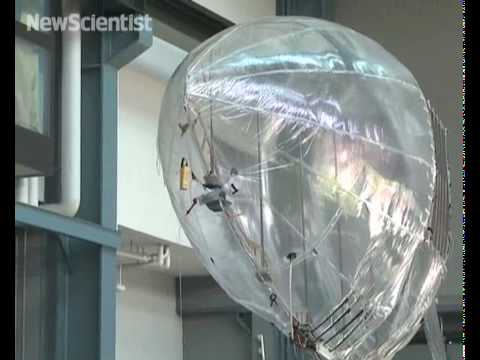 Airship Fish 