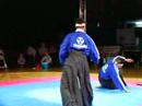 Kampfsportshow der Weinold Brüder (Asiatischer Kampfsport)