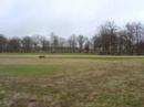 CCE - cross avec goeland a lamotte