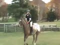 My Horses!!!! My Horses!!!!