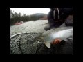 Awesome BC Steelheading - Cowichan River - Guided Fishing