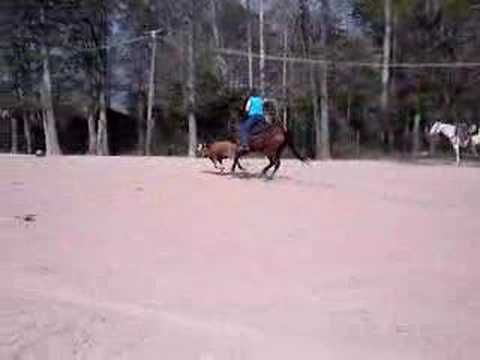 Me Roping from Simon (AKA Shoeless ...