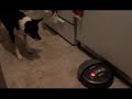 Jackson vs. The Robot