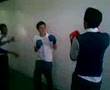 la pelea de los tontines cetis 43