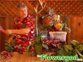 Tropical Arrangement EP#3 Tropical Arrangement EP#3